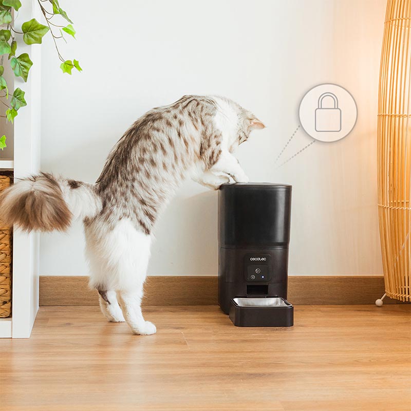 PUMBA 6000 PURFECT MEAL SMART 09565