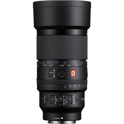 Sony Lens FE SEL 100mm f/2.8 Macro GM OSS