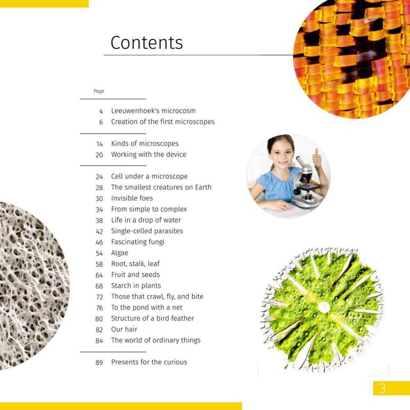 KNOWLEDGE BOOK: INVISIBLE WORLD ENGLISH SOFTCOVER
