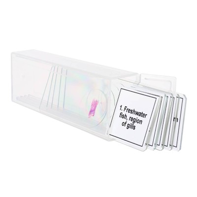 ΠΑΡΑΣΚΕΥΑΣΜΑΤΑ DISCOVERY PROF ΑΜΦΙΒΙΑ
