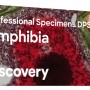 ΠΑΡΑΣΚΕΥΑΣΜΑΤΑ DISCOVERY PROF ΑΜΦΙΒΙΑ