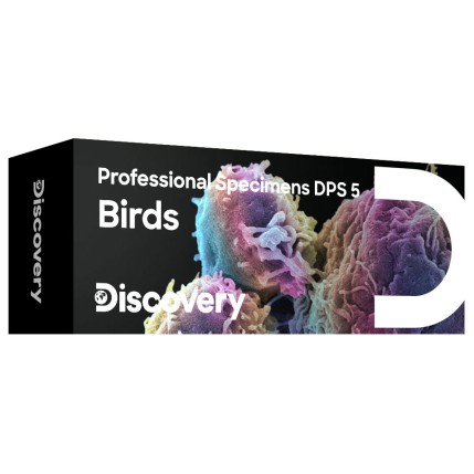ΠΑΡΑΣΚΕΥΑΣΜΑΤΑ DISCOVERY PROF ΠΟΥΛΙΑ