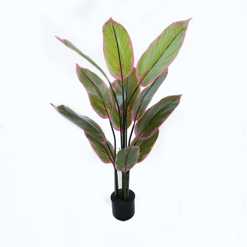 Διακοσμητικό φυτό σε γλάστρα Calathea Inart πράσινο Φ68x120εκ