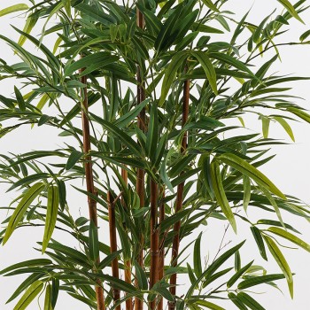 Διακοσμητικό φυτό σε γλάστρα Rhapis Palm Inart πράσινο Φ60x120εκ