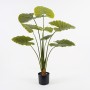 Διακοσμητικό φυτό σε γλάστρα Alocasia Inart πράσινο Φ90x120εκ