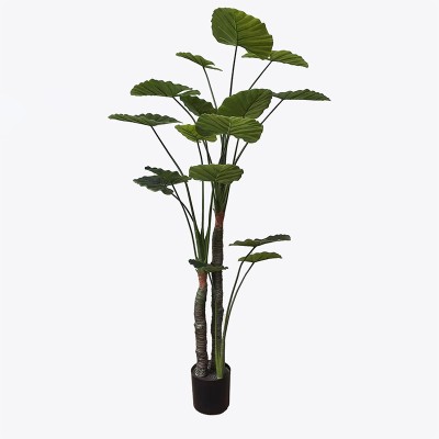 Διακοσμητικό φυτό σε γλάστρα Taro Plant Inart πράσινο Φ90x180εκ